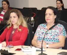 Reunião Plenária do Conselho Estadual da Criança e do Adolescente - Foto: Aliocha Maurício/SEDS