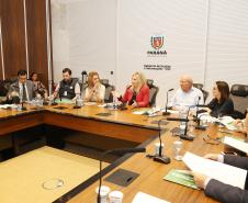 Secretária da Família e Desenvolvimento Social, Fernanda Richa, participa da reunião com Luciana Temer sobre Exploração e Abuso Sexual Infantil - Foto: Rogério Machado/SECS