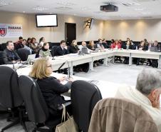 Reunião Plenária do Conselho Estadual dos Direitos da Criança e do Adolescente do Paraná - CEDCA/PR - Foto: Aliocha Maurício/SEDS