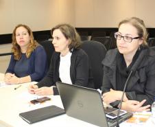 Reunião Plenária do Conselho Estadual da Criança e do Adolescente - Foto: Aliocha Maurício/SEDS