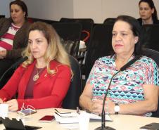 Reunião Plenária do Conselho Estadual da Criança e do Adolescente - Foto: Aliocha Maurício/SEDS
