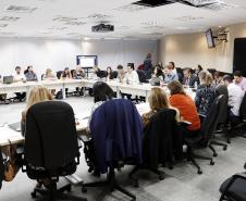 Reunião plenária do Conselho Estadual dos Direitos da Criança e do Adolescente - Foto: Aliocha Maurício/SEDS