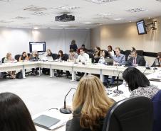 Reunião plenária do Conselho Estadual dos Direitos da Criança e do Adolescente - Foto: Aliocha Maurício/SEDS