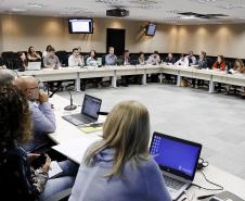 Reunião plenária do Conselho Estadual dos Direitos da Criança e do Adolescente - Foto: Aliocha Maurício/SEDS