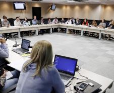 Reunião plenária do Conselho Estadual dos Direitos da Criança e do Adolescente - Foto: Aliocha Maurício/SEDS