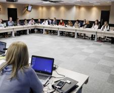 Reunião plenária do Conselho Estadual dos Direitos da Criança e do Adolescente - Foto: Aliocha Maurício/SEDS