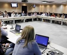 Reunião plenária do Conselho Estadual dos Direitos da Criança e do Adolescente - Foto: Aliocha Maurício/SEDS