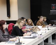 Plenária do Conselho Estadual dos Direitos da Criança e do Adolescente - Foto: Aliocha Maurício/SEDS