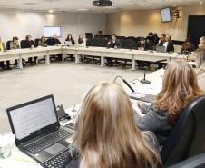 Reunião Plenária do Conselho Estadual dos Direitos da Criança e do Adolescente - Foto: Aliocha Maurício/SEDS