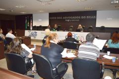 Plenária do Conselho Estadual dos Direitos da Criança e do Adolescente do Paraná - CEDCA/PR - Aliocha Mauricio/SEDS