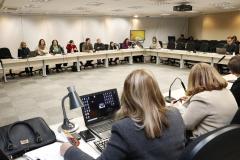 Reunião do Conselho Estadual dos Direitos da Criança e do Adolescente - Foto: Aliocha Maurício/SEDS