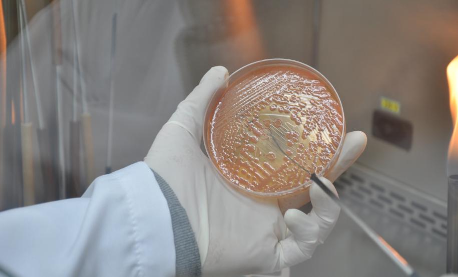 Destinações do IR aumentam 144% Hospital Pequeno Príncipe usa os recursos captados pelo Banco de Projetos em ações de apoio à assistência e pesquisa, formação de pesquisadores, aquisição de insumos e equipamentos. Fotos: Pequeno Príncipe