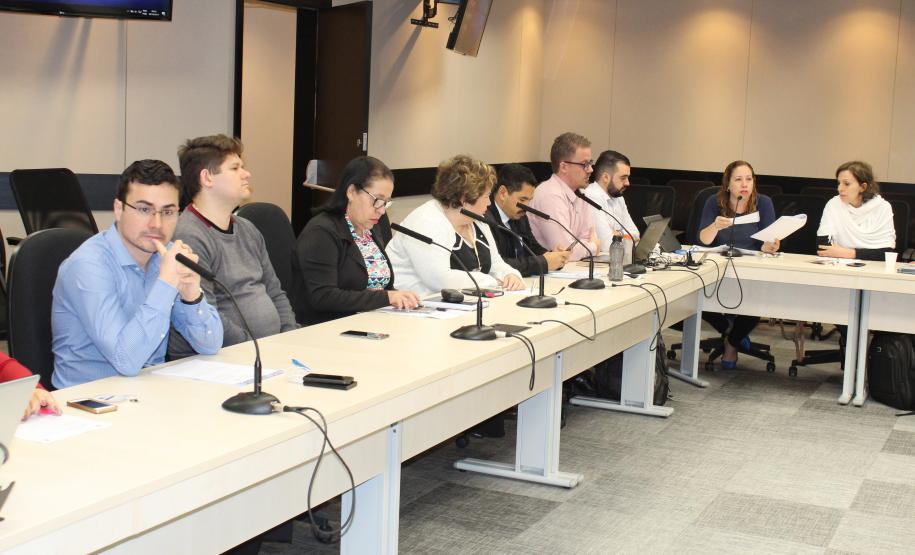 Reunião Plenária do Conselho Estadual da Criança e do Adolescente - Foto: Aliocha Maurício/SEDS