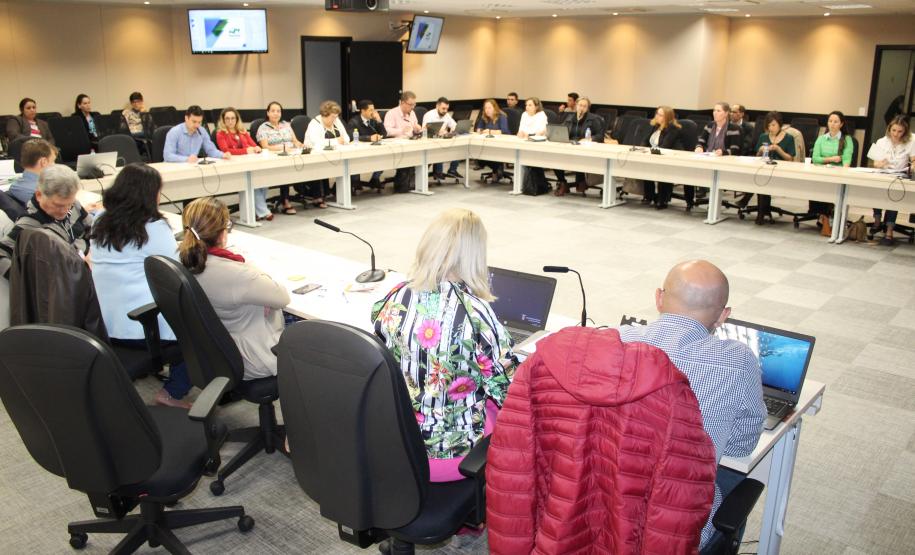 Reunião Plenária do Conselho Estadual da Criança e do Adolescente - Foto: Aliocha Maurício/SEDS