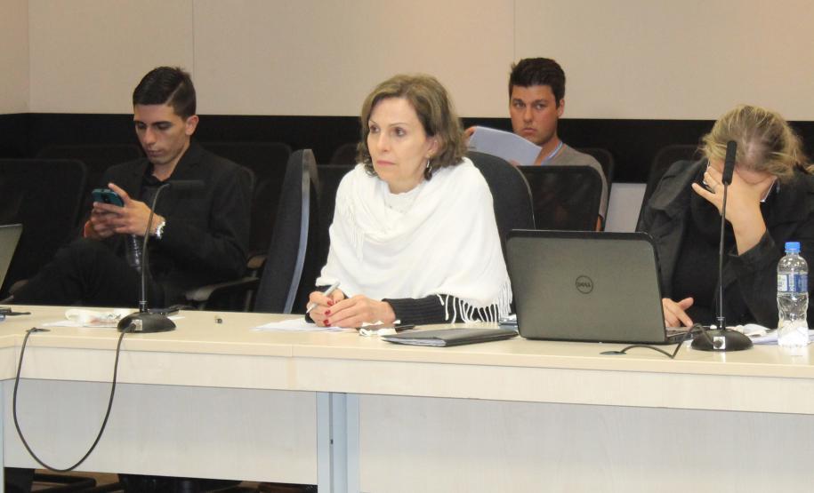 Reunião Plenária do Conselho Estadual da Criança e do Adolescente - Foto: Aliocha Maurício/SEDS