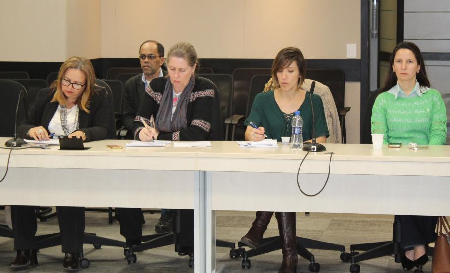 Reunião Plenária do Conselho Estadual da Criança e do Adolescente - Foto: Aliocha Maurício/SEDS