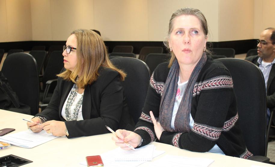 Reunião Plenária do Conselho Estadual da Criança e do Adolescente - Foto: Aliocha Maurício/SEDS