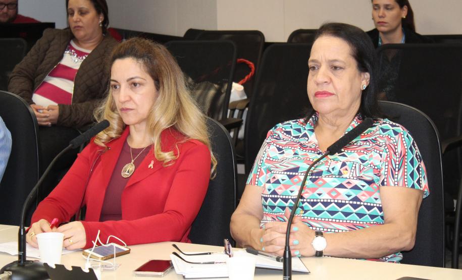 Reunião Plenária do Conselho Estadual da Criança e do Adolescente - Foto: Aliocha Maurício/SEDS