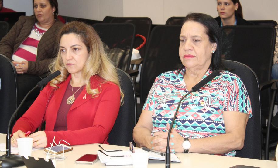 Reunião Plenária do Conselho Estadual da Criança e do Adolescente - Foto: Aliocha Maurício/SEDS