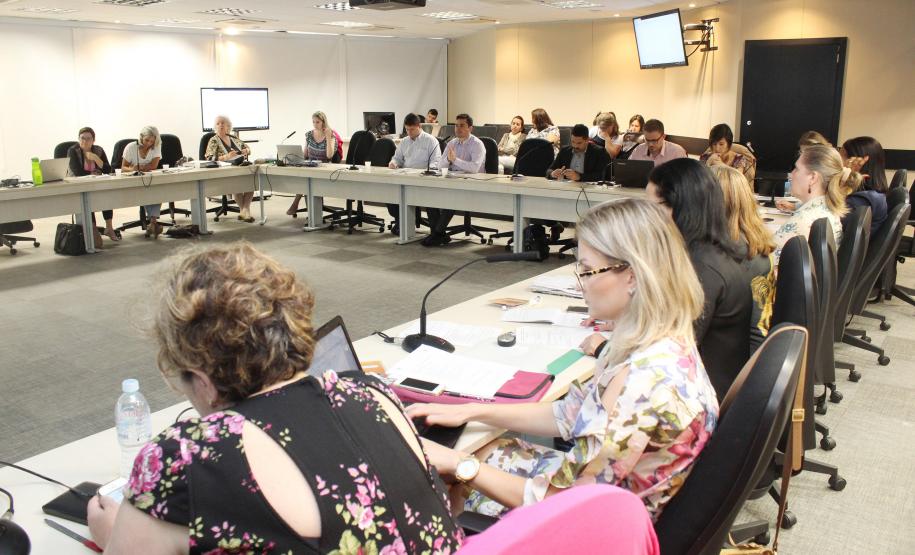 Reunião Plenária do Conselho Estadual dos Direitos da Criança e do Adolescente - Cedca - Foto: Aliocha Maurício/SEDS