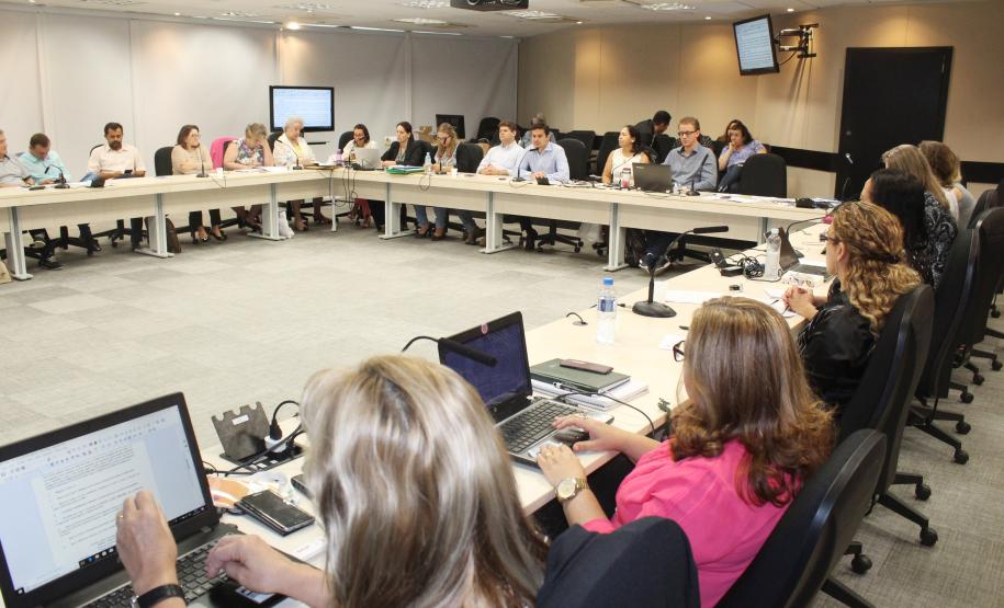 Cedca aprova prestação de contas e avalia ações para 2018 - Foto: Aliocha Maurício/SEDS