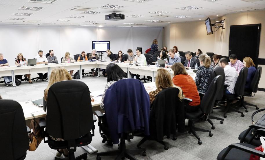 Reunião plenária do Conselho Estadual dos Direitos da Criança e do Adolescente - Foto: Aliocha Maurício/SEDS