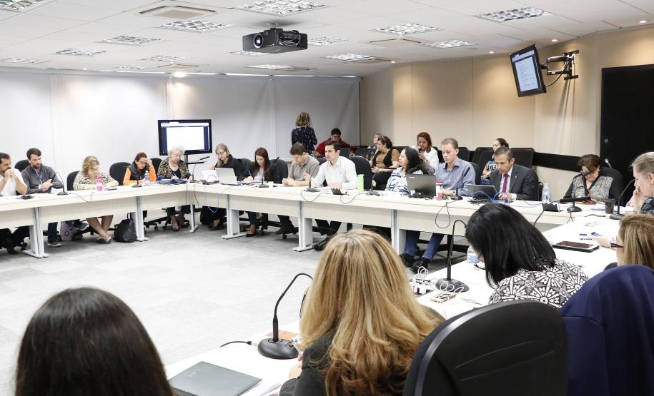 Reunião plenária do Conselho Estadual dos Direitos da Criança e do Adolescente - Foto: Aliocha Maurício/SEDS