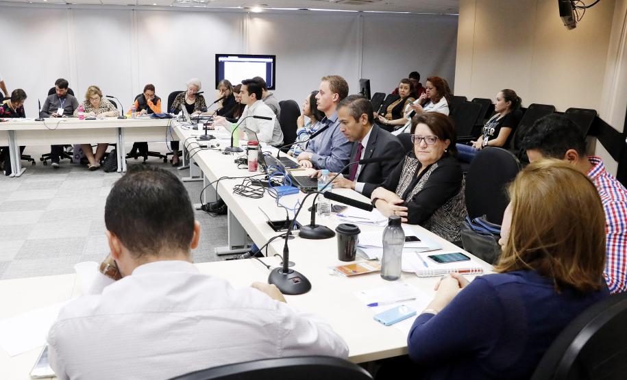 Reunião plenária do Conselho Estadual dos Direitos da Criança e do Adolescente - Foto: Aliocha Maurício/SEDS