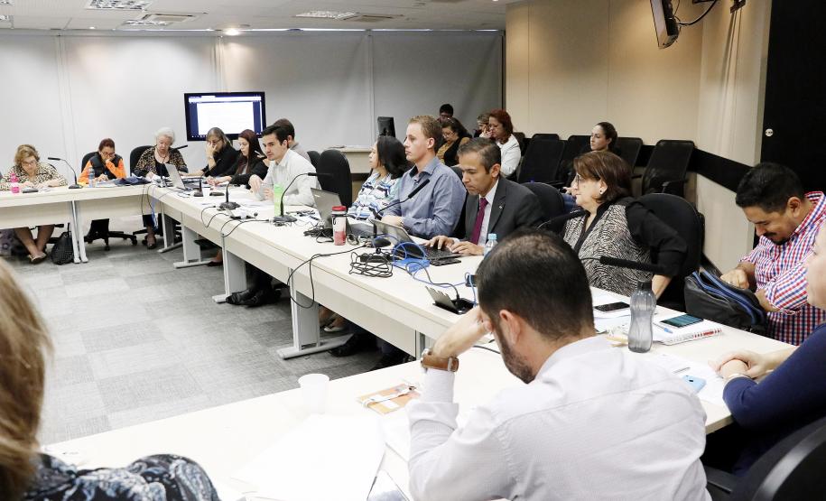 Reunião plenária do Conselho Estadual dos Direitos da Criança e do Adolescente - Foto: Aliocha Maurício/SEDS