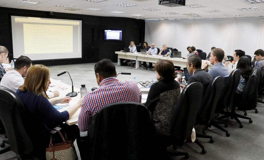 Reunião plenária do Conselho Estadual dos Direitos da Criança e do Adolescente - Foto: Aliocha Maurício/SEDS