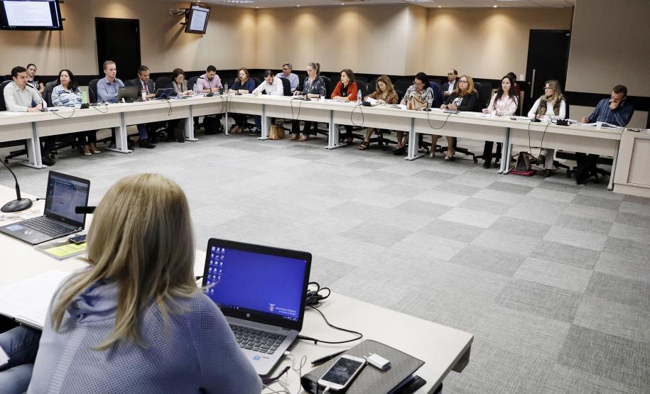 Reunião plenária do Conselho Estadual dos Direitos da Criança e do Adolescente - Foto: Aliocha Maurício/SEDS