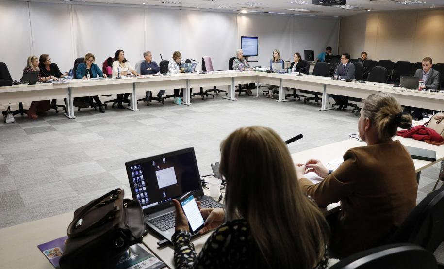 Plenária do Conselho Estadual dos Direitos da Criança e do Adolescente - Foto: Aliocha Maurício/SEDS