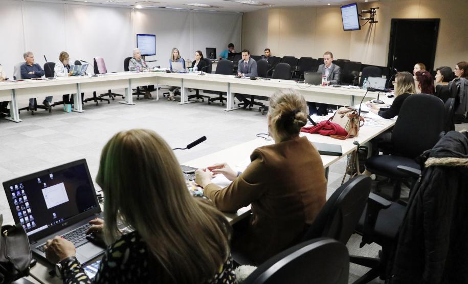 Plenária do Conselho Estadual dos Direitos da Criança e do Adolescente - Foto: Aliocha Maurício/SEDS