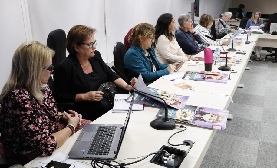 Plenária do Conselho Estadual dos Direitos da Criança e do Adolescente - Foto: Aliocha Maurício/SEDS