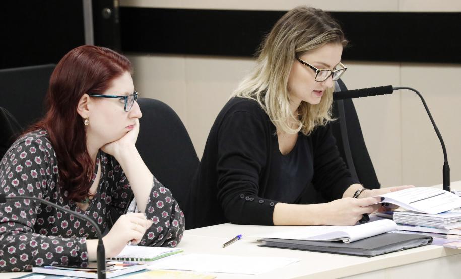 Plenária do Conselho Estadual dos Direitos da Criança e do Adolescente - Foto: Aliocha Maurício/SEDS