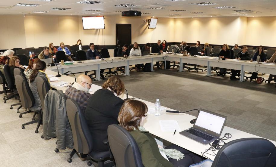 Reunião Plenária do Conselho Estadual dos Direitos da Criança e do Adolescente - Foto: Aliocha Maurício/SEDS