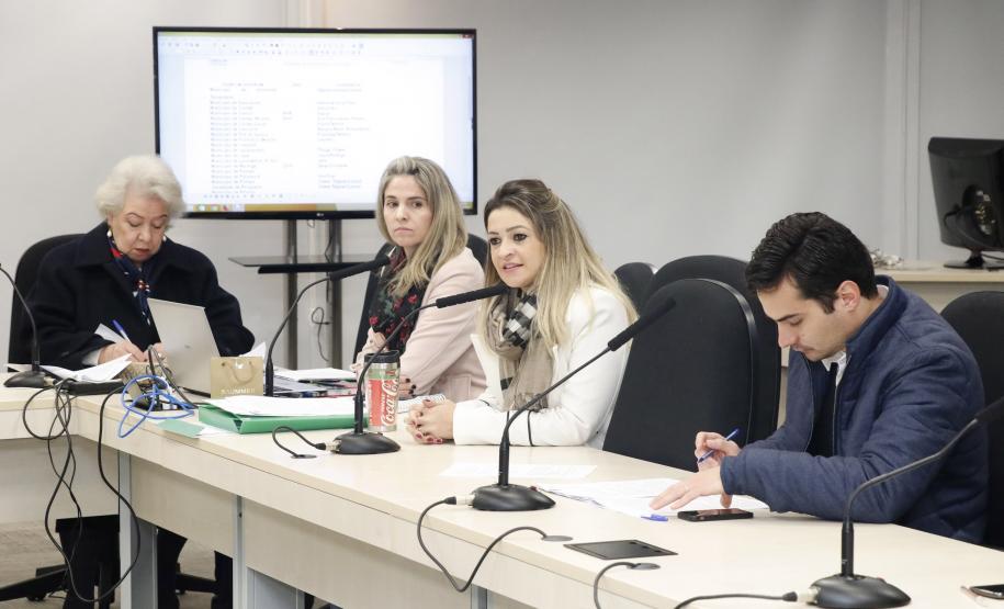 Reunião Plenária do Conselho Estadual dos Direitos da Criança e do Adolescente - Foto: Aliocha Maurício/SEDS