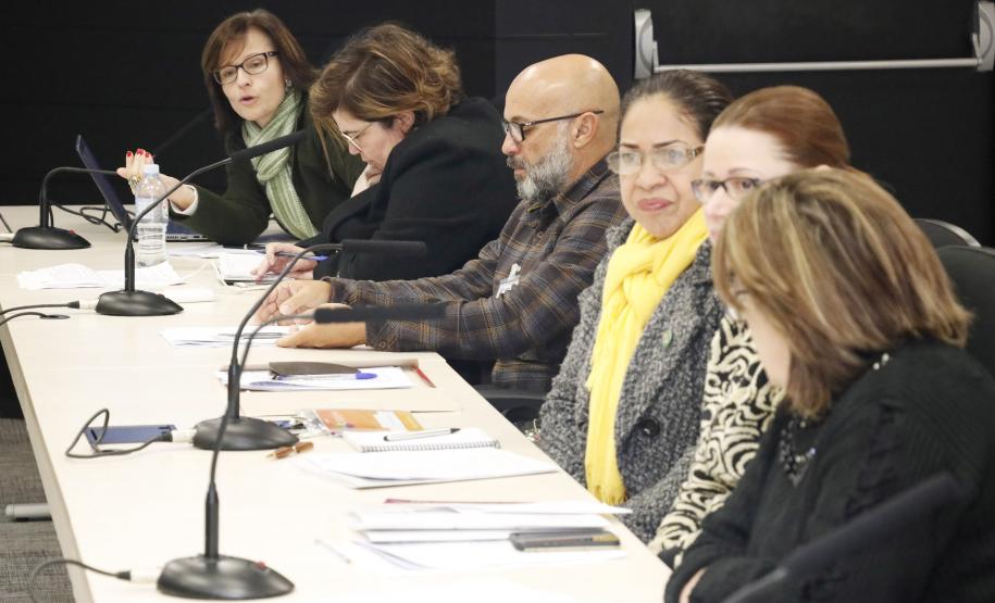 Reunião Plenária do Conselho Estadual dos Direitos da Criança e do Adolescente - Foto: Aliocha Maurício/SEDS