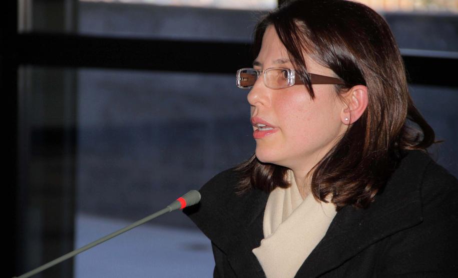 Na reunião plenária extraordinária realizada na quinta-feira (19) o Conselho Estadual dos Direitos da Criança e do Adolescente (Cedca) realizou a eleição de presidente e de vice-presidente para o ano biênio 2012-2013.Foto:Ricardo Marajó/SEDS