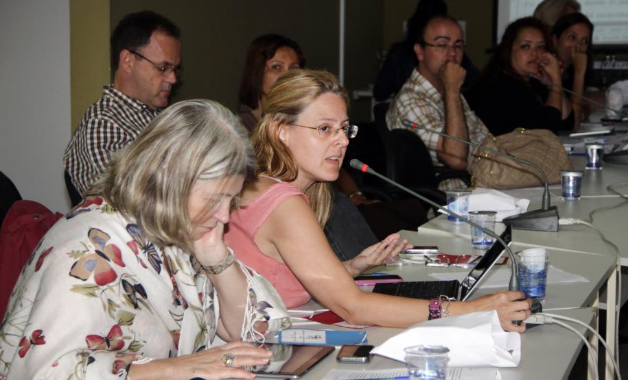 O Governo do Estado inicia em fevereiro de 2013 o Censo do Sistema de Garantia dos Direitos da Criança e do Adolescente (Censo SGD). A decisão foi tomada na última plenária do Conselho Estadual dos Direitos da Criança e do Adolescente (Cedca), na segunda-feira (17 de dezembro) e o diagnóstico será operacionalizado pela Secretaria da Família e Desenvolvimento Social (Seds).Foto:Ricardo Marajó/SEDS